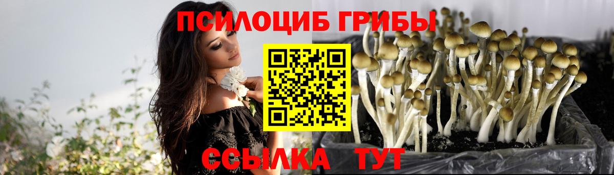 Галлюциногенные грибы мухоморы Приморско-Ахтарск